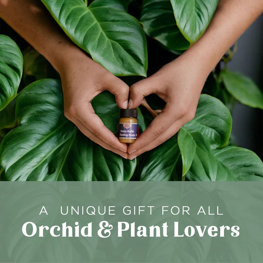 Crazy Keiki Cloning Paste by Southside Plants