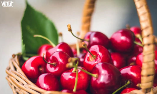 Rainier Cherry Fruit Seeds