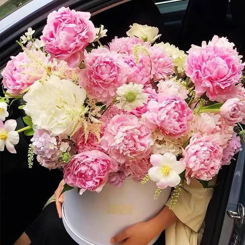 The Queen of Flowers — Peony Flower Seeds (Pack of 20)
