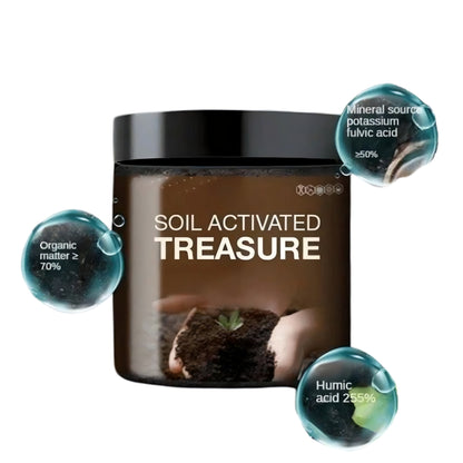 Soil Activated Treasure Premium Soil Activator – 200g (Pack of 2)