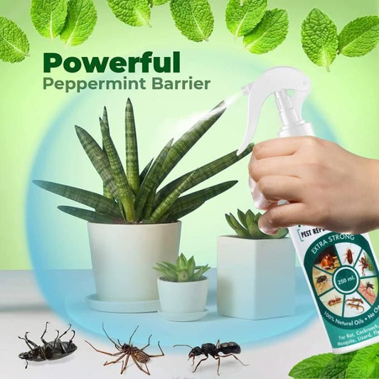 All-in-One Pest Repellent Spray (250ml)