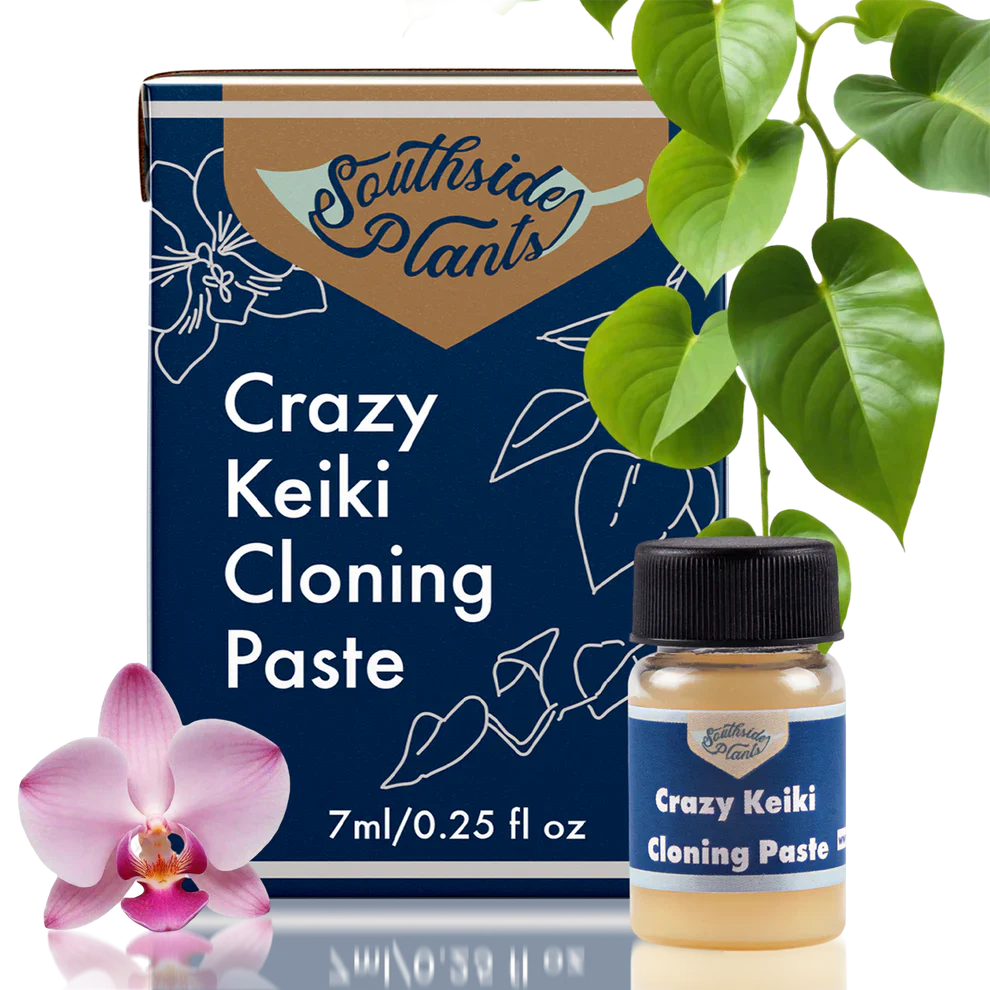 Crazy Keiki Cloning Paste by Southside Plants