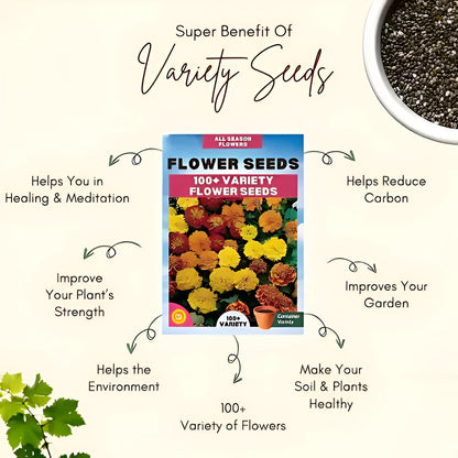 Varieties of Flower Seeds (Pack of 100) + FREE Plant Growth Supplement