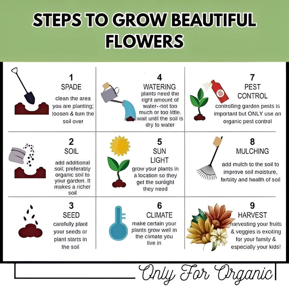 Varieties of Flower Seeds (Pack of 100) + FREE Plant Growth Supplement