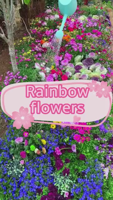 Varieties of Flower Seeds (Pack of 100) + FREE Plant Growth Supplement