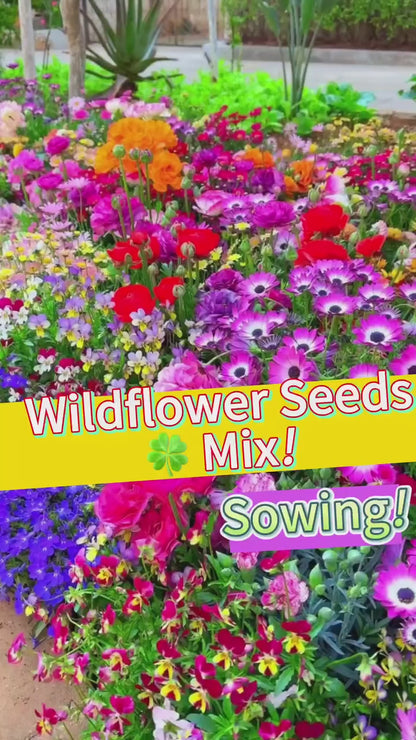 Varieties of Flower Seeds (Pack of 100) + FREE Plant Growth Supplement